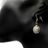 Lenitas maris website