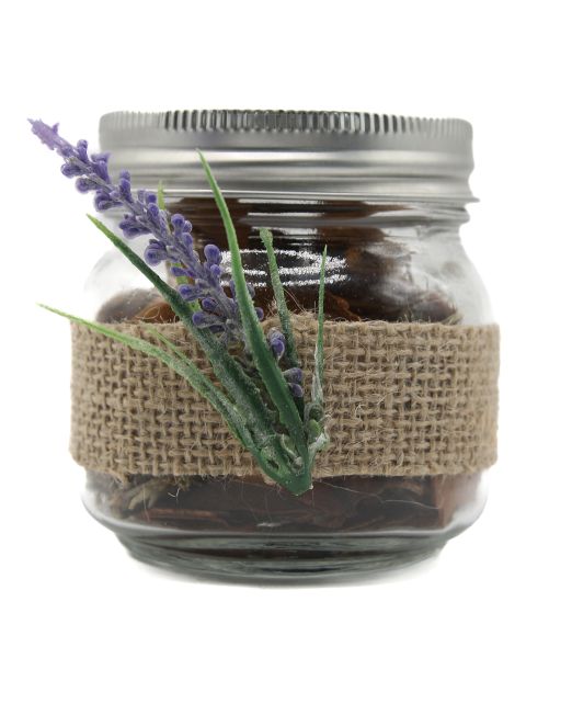 Pot-Pourri